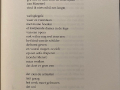Gedicht-Sonja-Prins-Weegschaal-de-aarde